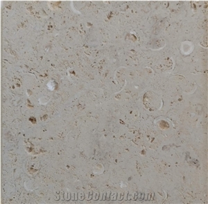 White Shell Stone, Coral Stone Tiles