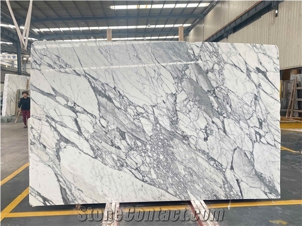 Arabescato White Marble for Interior Design