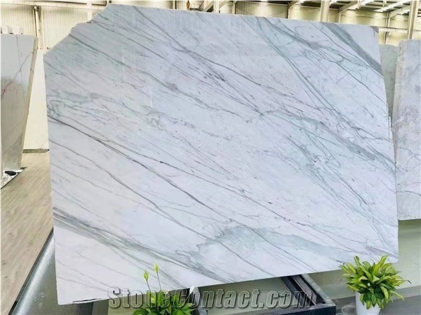 Statuario Bianco Marble Slab for Project