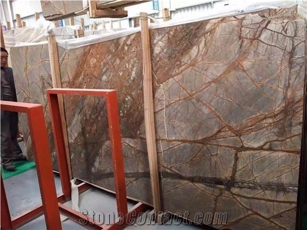 Polished Rain Forest Brown Slabs