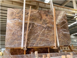 Polished Rain Forest Brown Slabs