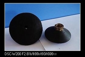 Raizi 4 Inch Rigid Plastic Backer up Pad