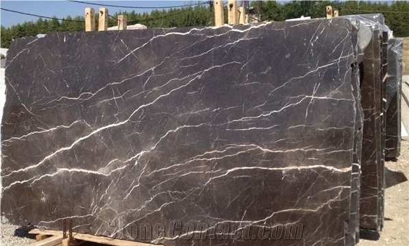 China Nero St Laurent Bown/Black Polished Marble