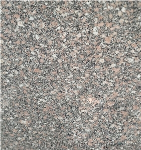 Gandonna Aswan Granite Tiles & Slabs