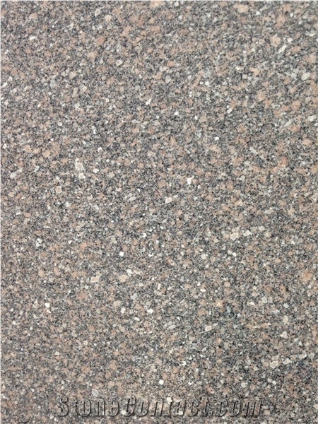 Gandonna Aswan Granite Tiles & Slabs