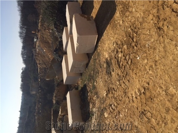 Pierre De Lavoux Limestone Block, France Beige Limestone