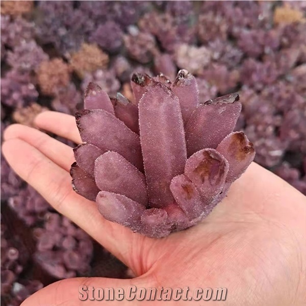 Various Grape Amethyst Crystal Gemstone Amethyst Cluster