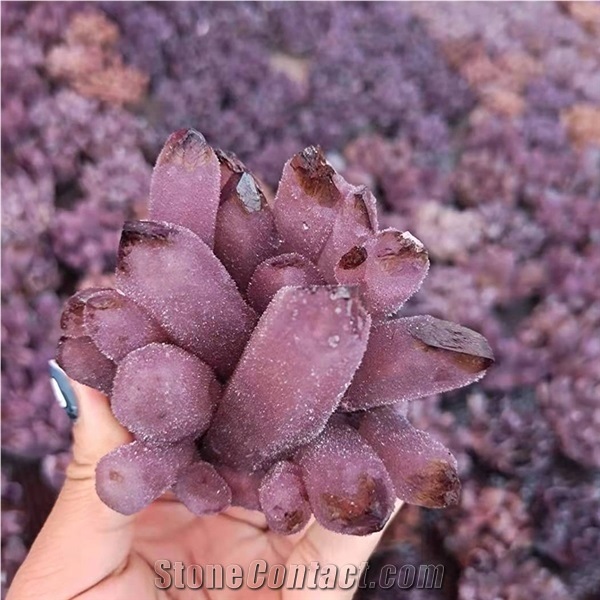 Various Grape Amethyst Crystal Gemstone Amethyst Cluster
