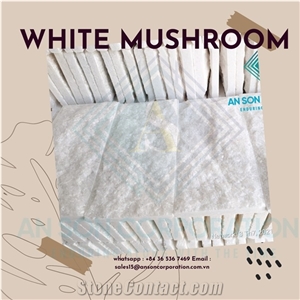 Products with Good Quality with the Most Competitive Price