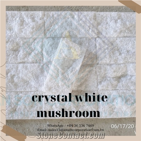 White Mushroom Suitable for Indoors,Fountains and Other Uses