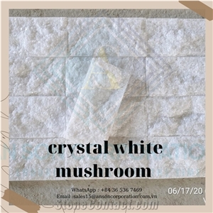 White Mushroom Suitable for Indoors,Fountains and Other Uses