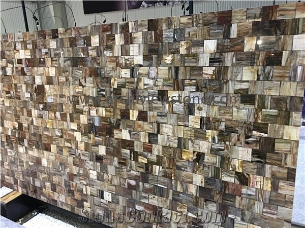 Multicolor Petrified Wood Semiprecious Stone Slabs