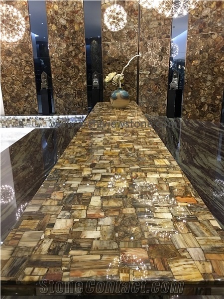 Multicolor Petrified Wood Semiprecious Stone Slabs