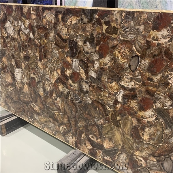 Backlit Tree Fossil Stone Semiprecious Slabs