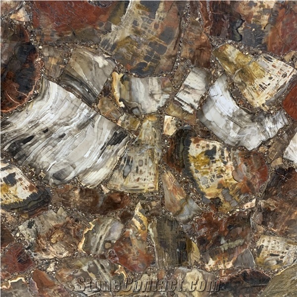 Backlit Tree Fossil Stone Semiprecious Slabs