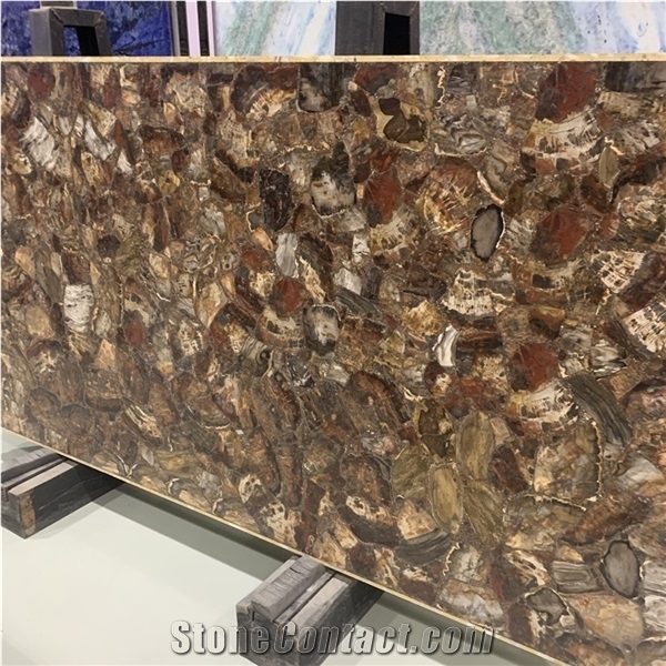 Backlit Tree Fossil Stone Semiprecious Slabs