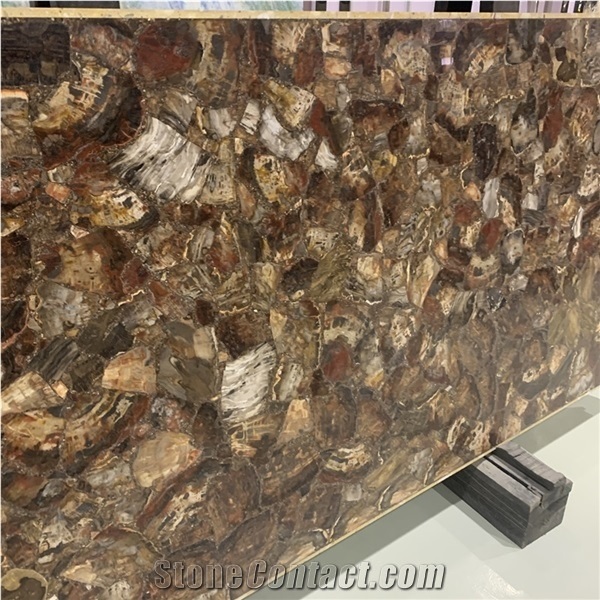 Backlit Tree Fossil Stone Semiprecious Slabs