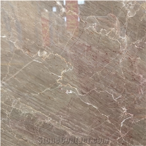 Ferragamo Brown Marble Floor Tile Flooring Designs