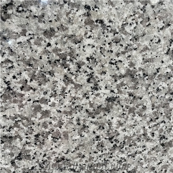 G439 China Bianco Sardo Granite Slab for Exterior Wall&Floor