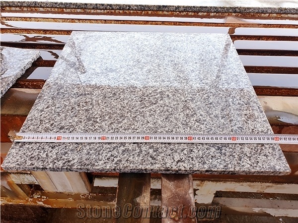 White Granite Slabs - Egyptian Bianco Halayeb Granite