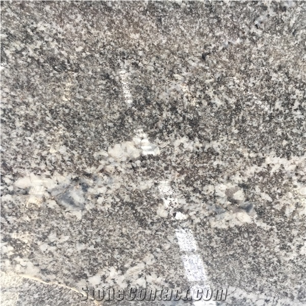 Brazil White Granite Bianco Antico Slabs for Kitchen Counter