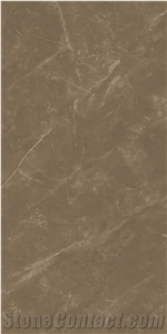 Brown Polished Porcelain Tiles Floor Wall