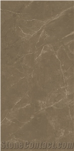 Brown Polished Porcelain Tiles Floor Wall