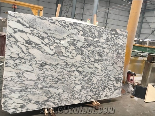 Arabescato Corchia Venato Faniello Marble for Floor