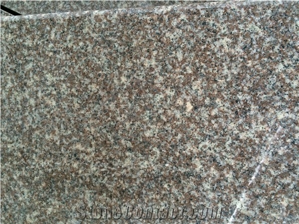 China Cheap New G664 Granite Tile Slab