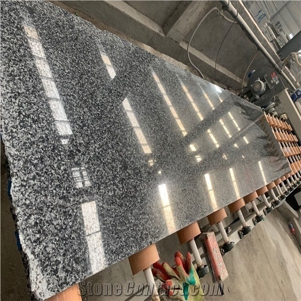 New G654 Jiangxi Dark Grey Granite Wall Tile Cladding