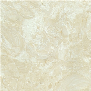 Abalone Limestone