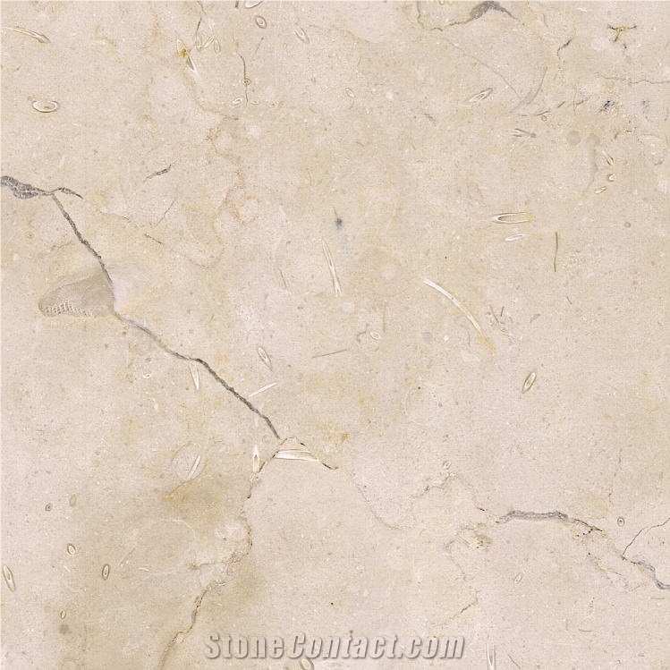 Absolute Beige Marble importance=