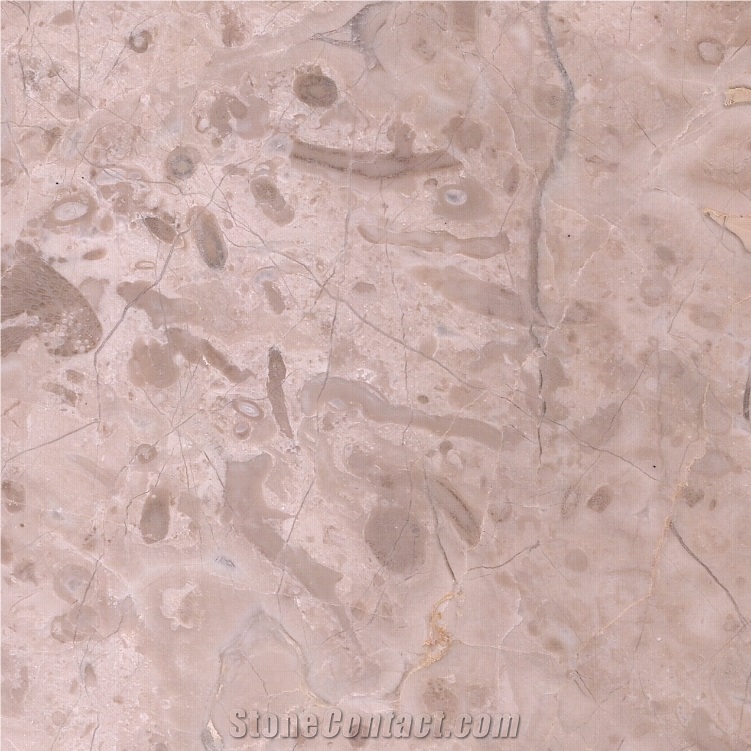 Afyon Dark Beige Marble importance=