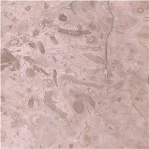 Afyon Dark Beige Marble