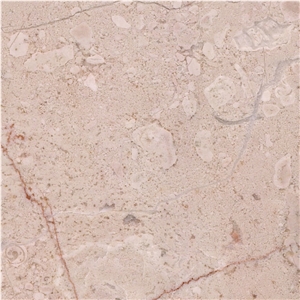 Aguacate Beige