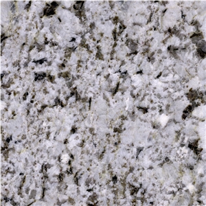 Alaska White