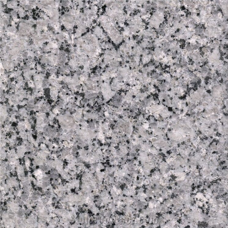 Albany Grey importance=