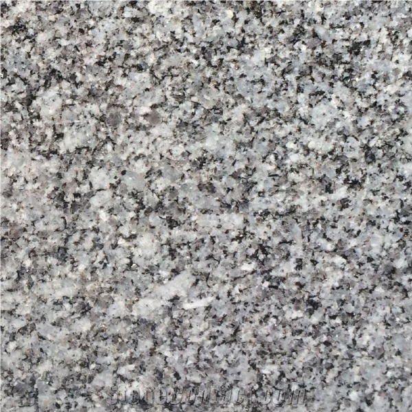 Alma Grey Granite importance=