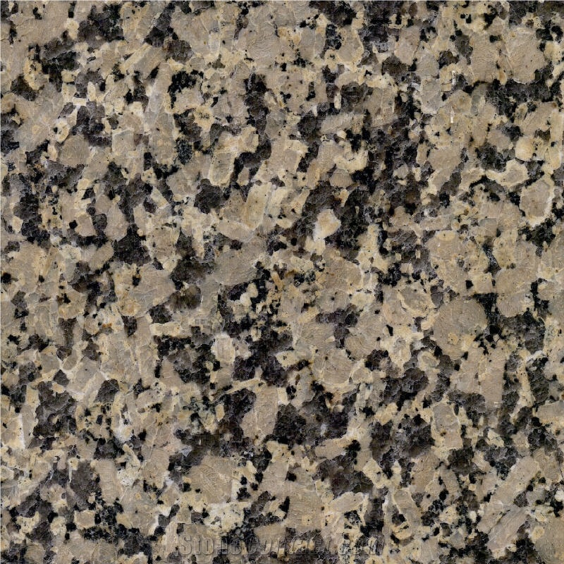 Almond Pearl Granite importance=