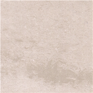 Aloewood Limestone Tile