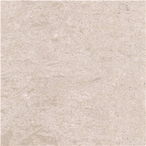 Aloewood Limestone Tile
