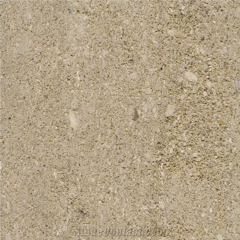 Altamira Rosal Limestone importance=