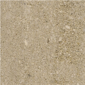 Altamira Rosal Limestone
