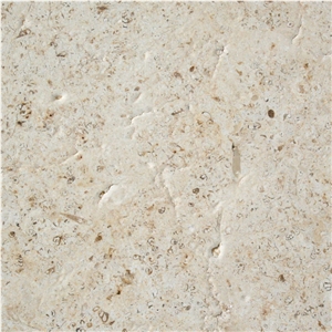 Ancient Earth Limestone