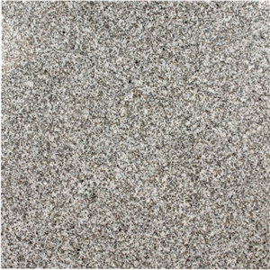 Ant Granite