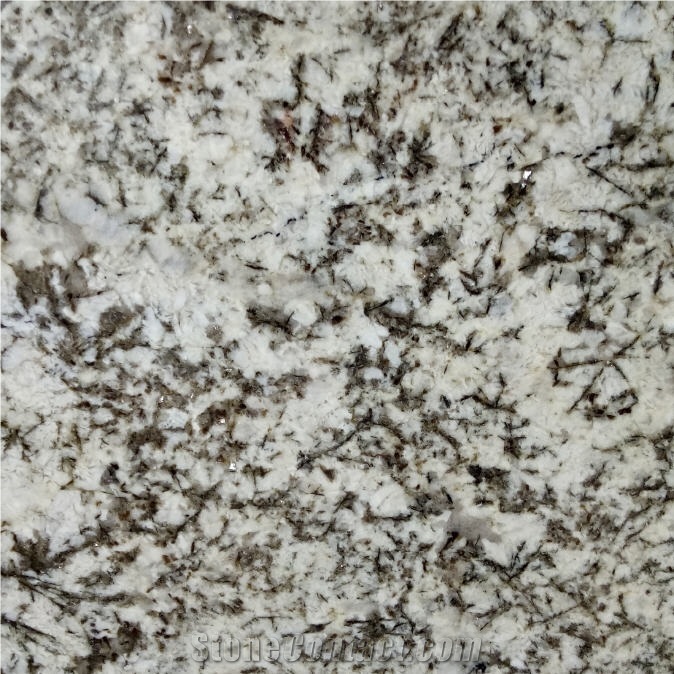 Antico Bianco Granite importance=