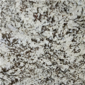 Antico Bianco Granite