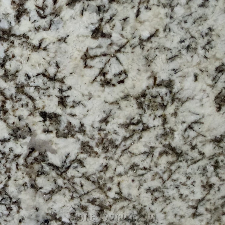 Antico Bianco Granite Tile