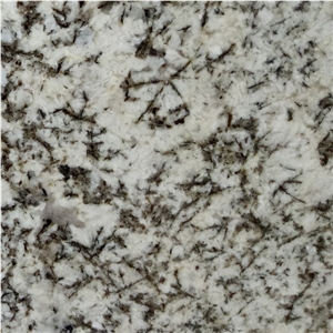 Antico Bianco Granite Tile