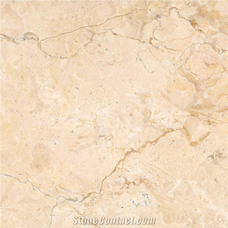 Ara Perlato Marble importance=